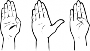 described in detail following the image