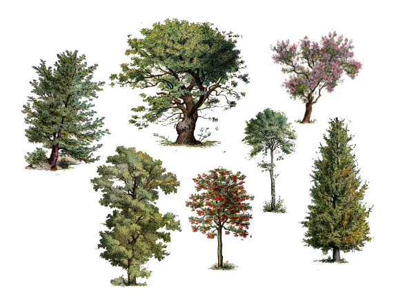 described in detail following the image