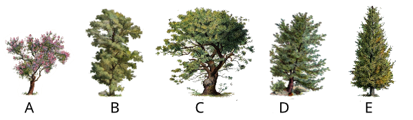 described in detail following the image