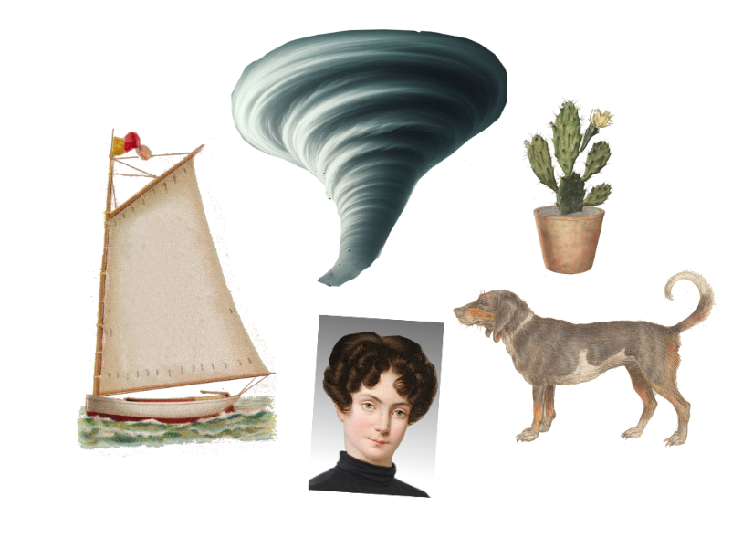 described in detail following the image
