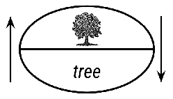 described in detail following the image