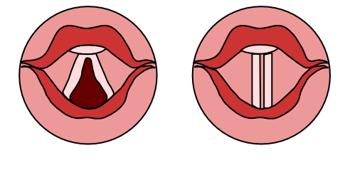 described in detail following the image