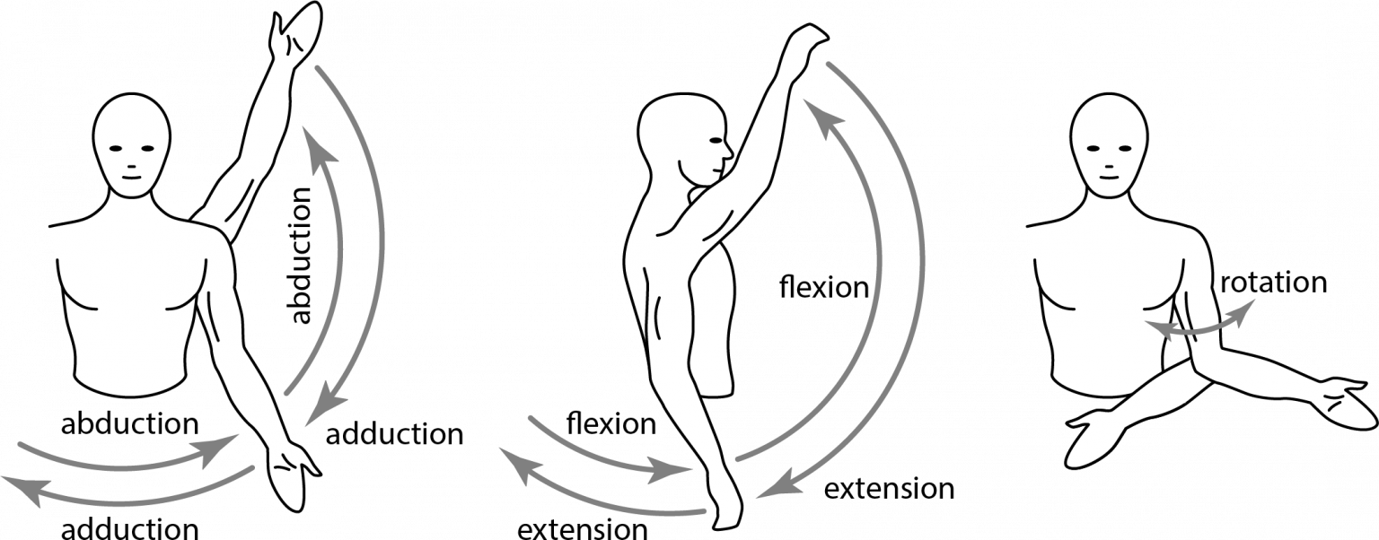 described in detail following the image