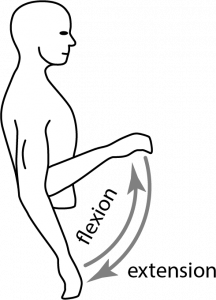 described in detail following the image