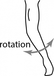 described in detail following the image