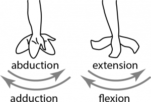described in detail following the image