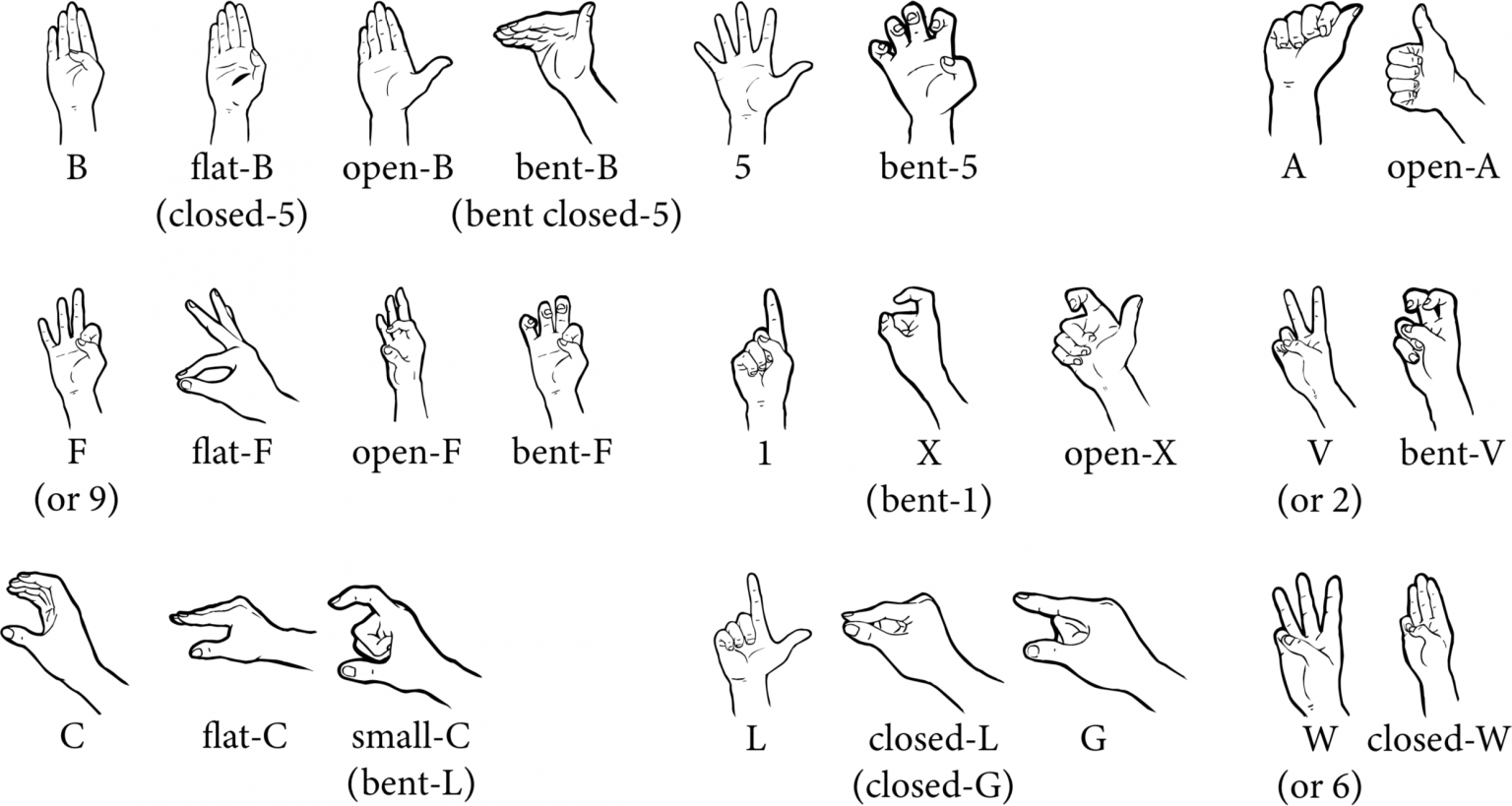 described in detail following the image
