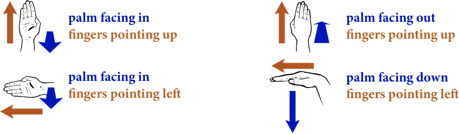 described in detail following the image