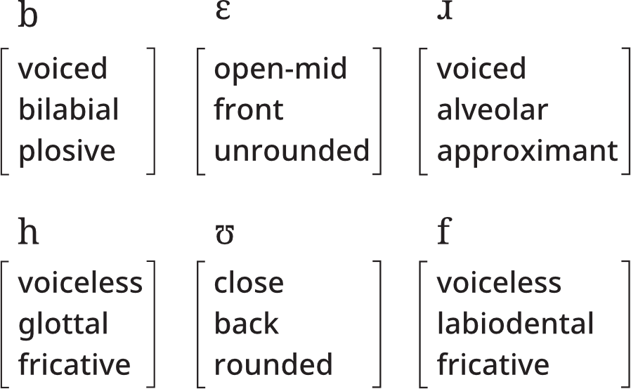described in detail following the image