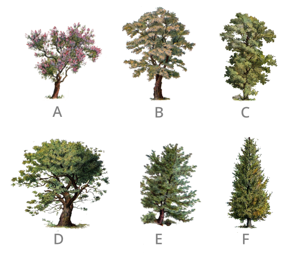 described in detail following the image