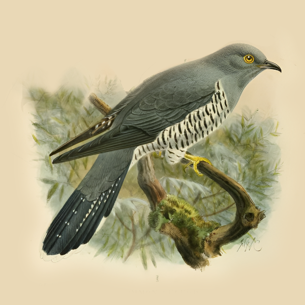 described in detail following the image