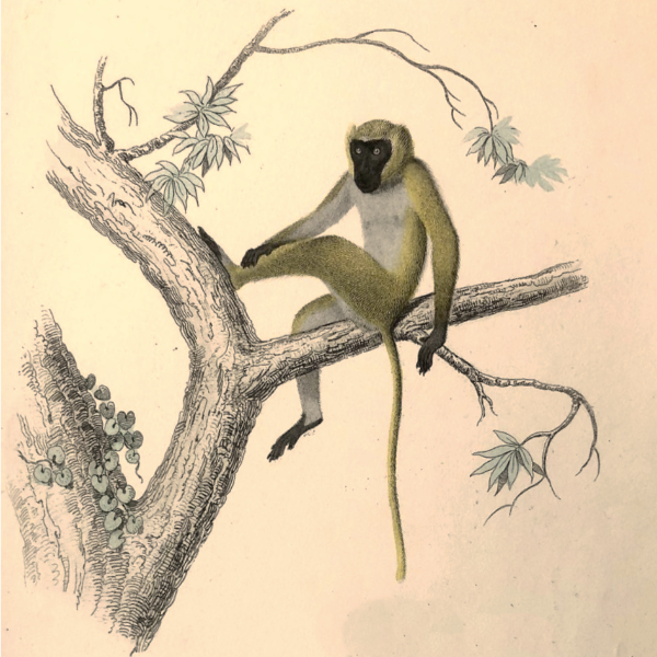 described in detail following the image