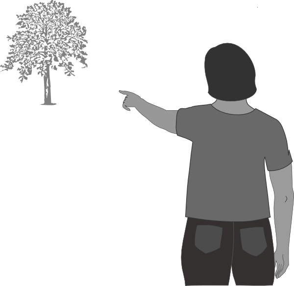 described in detail following the image