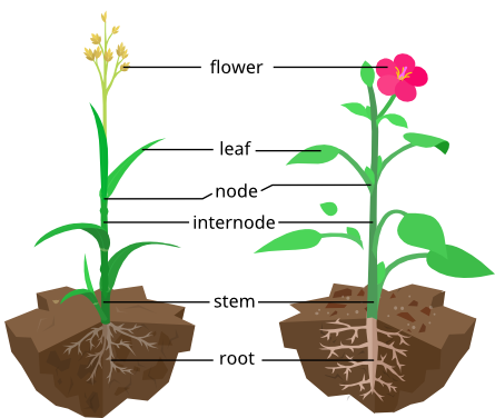 described in detail following the image