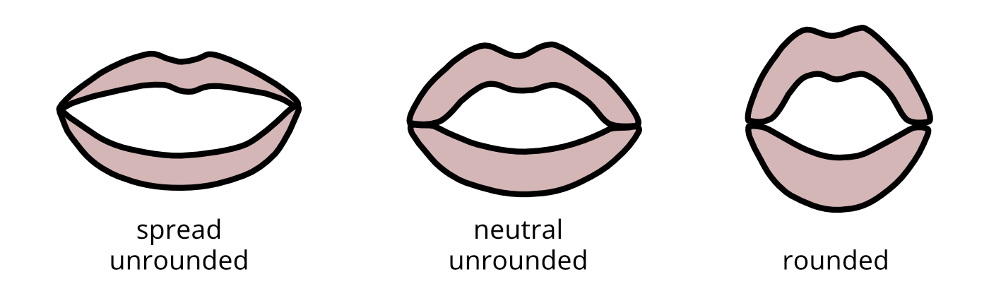 described in detail following the image
