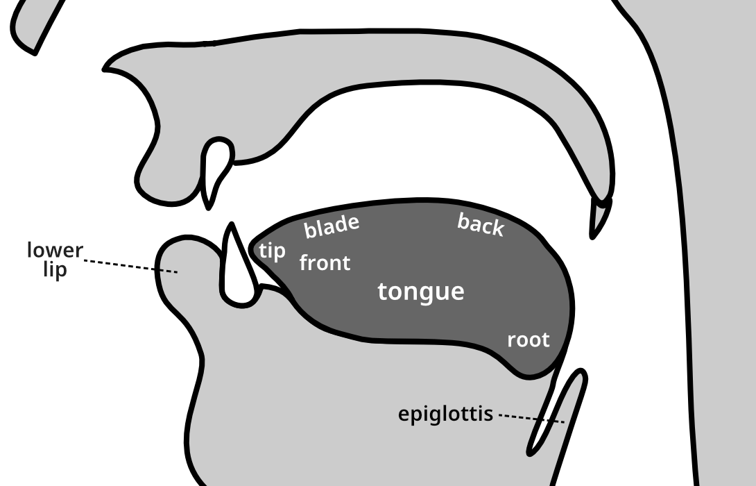 described in detail following the image