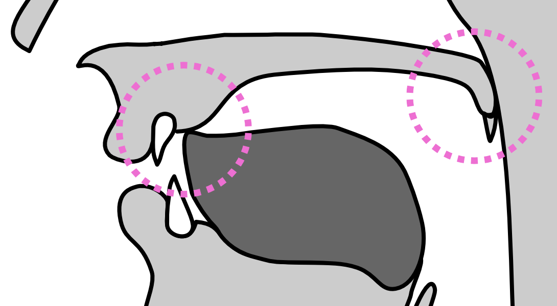described in detail following the image