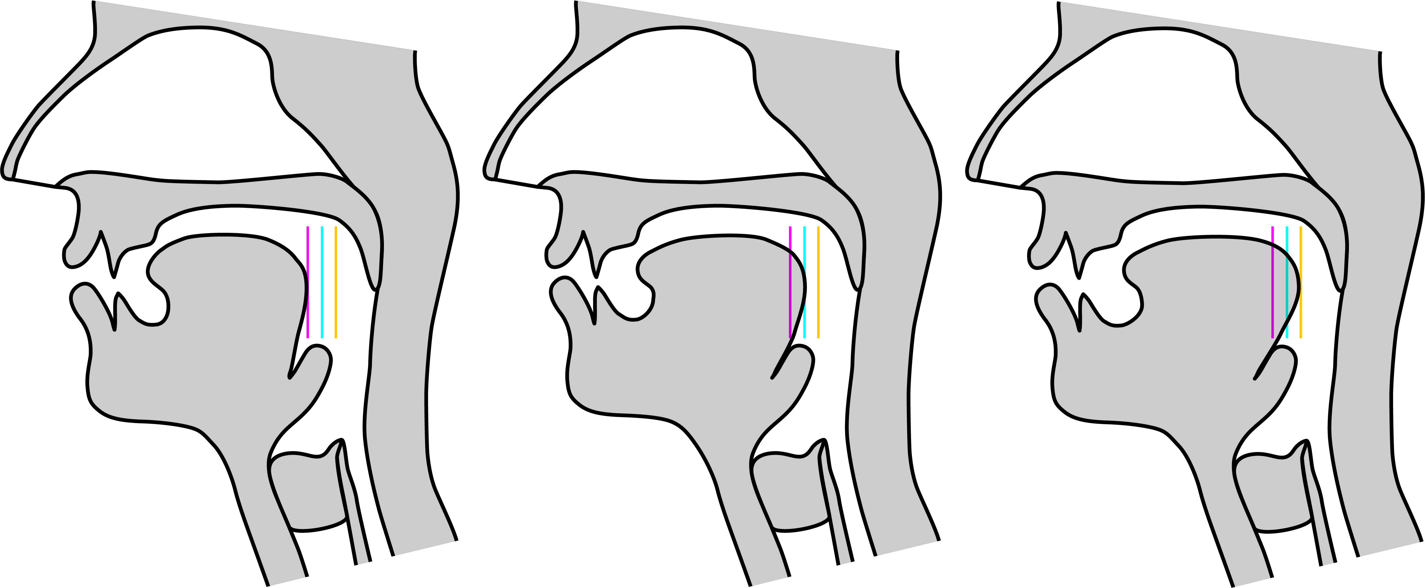described in detail following the image