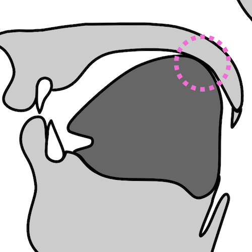 described in detail following the image