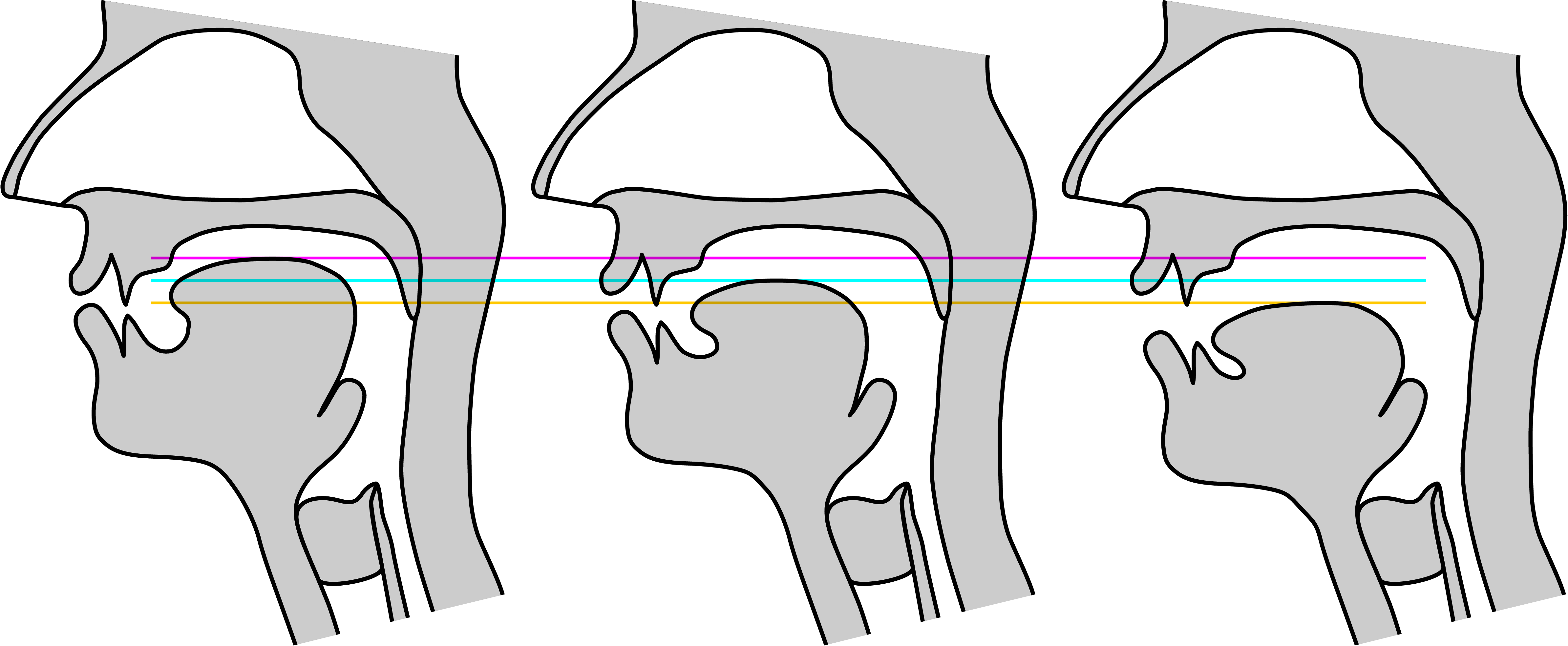 described in detail following the image