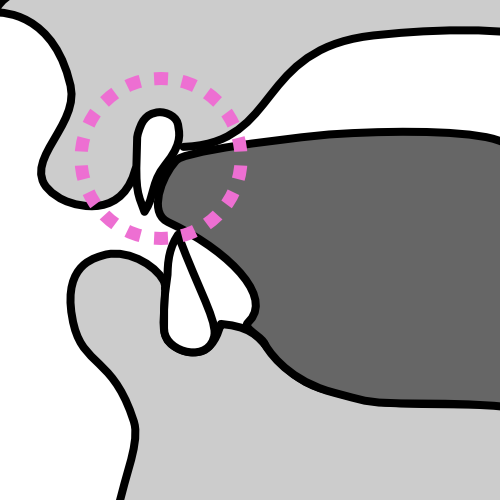 described in detail following the image