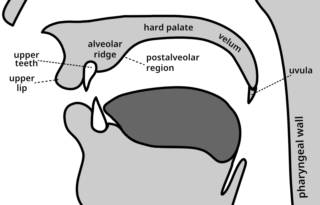 described in detail following the image