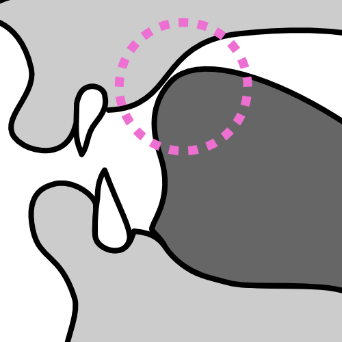 described in detail following the image
