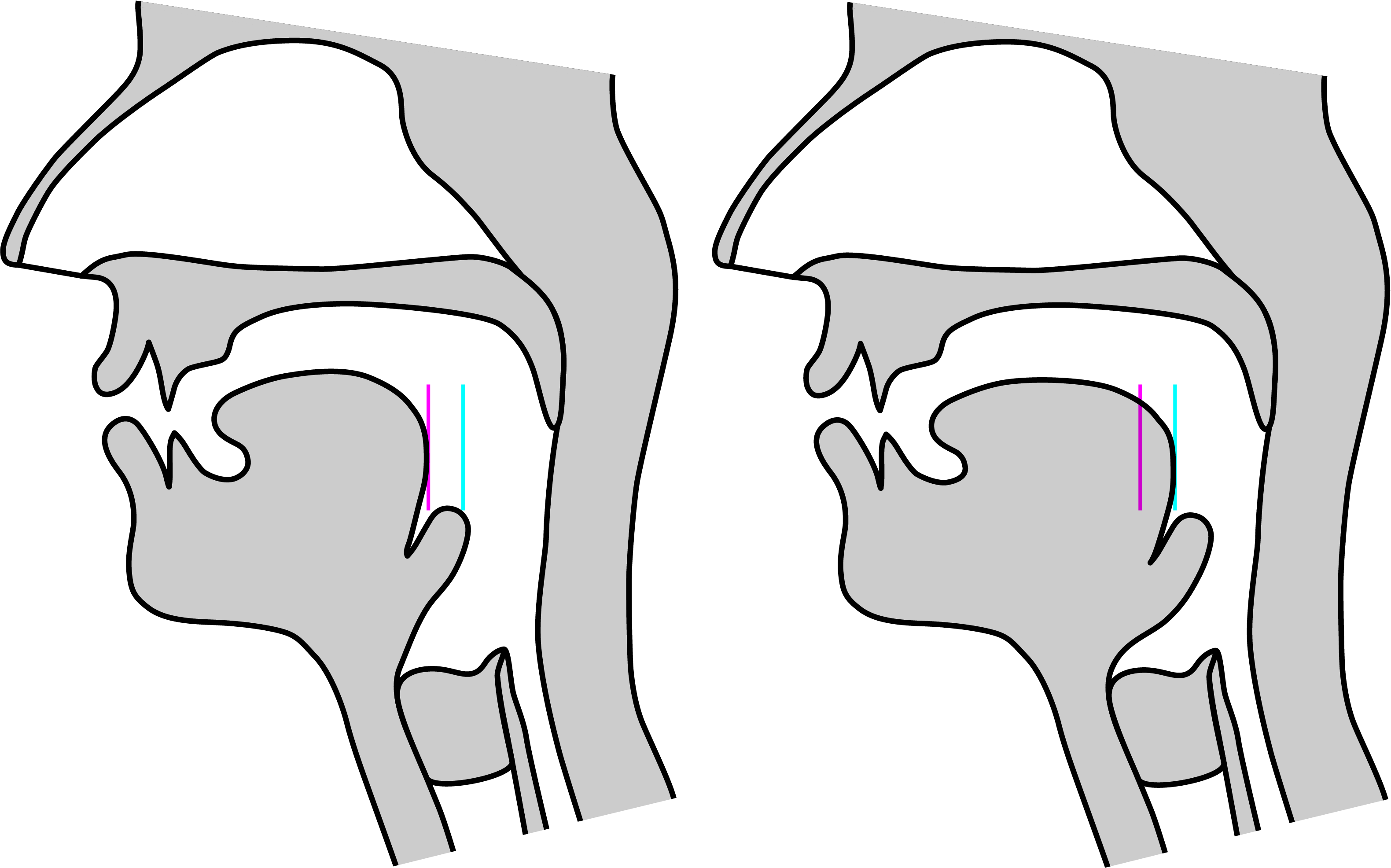 described in detail following the image