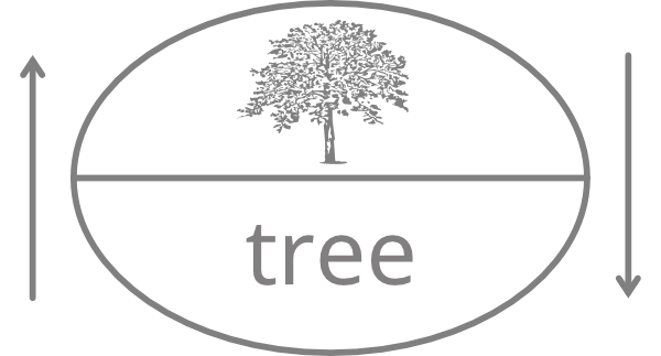 described in detail following the image