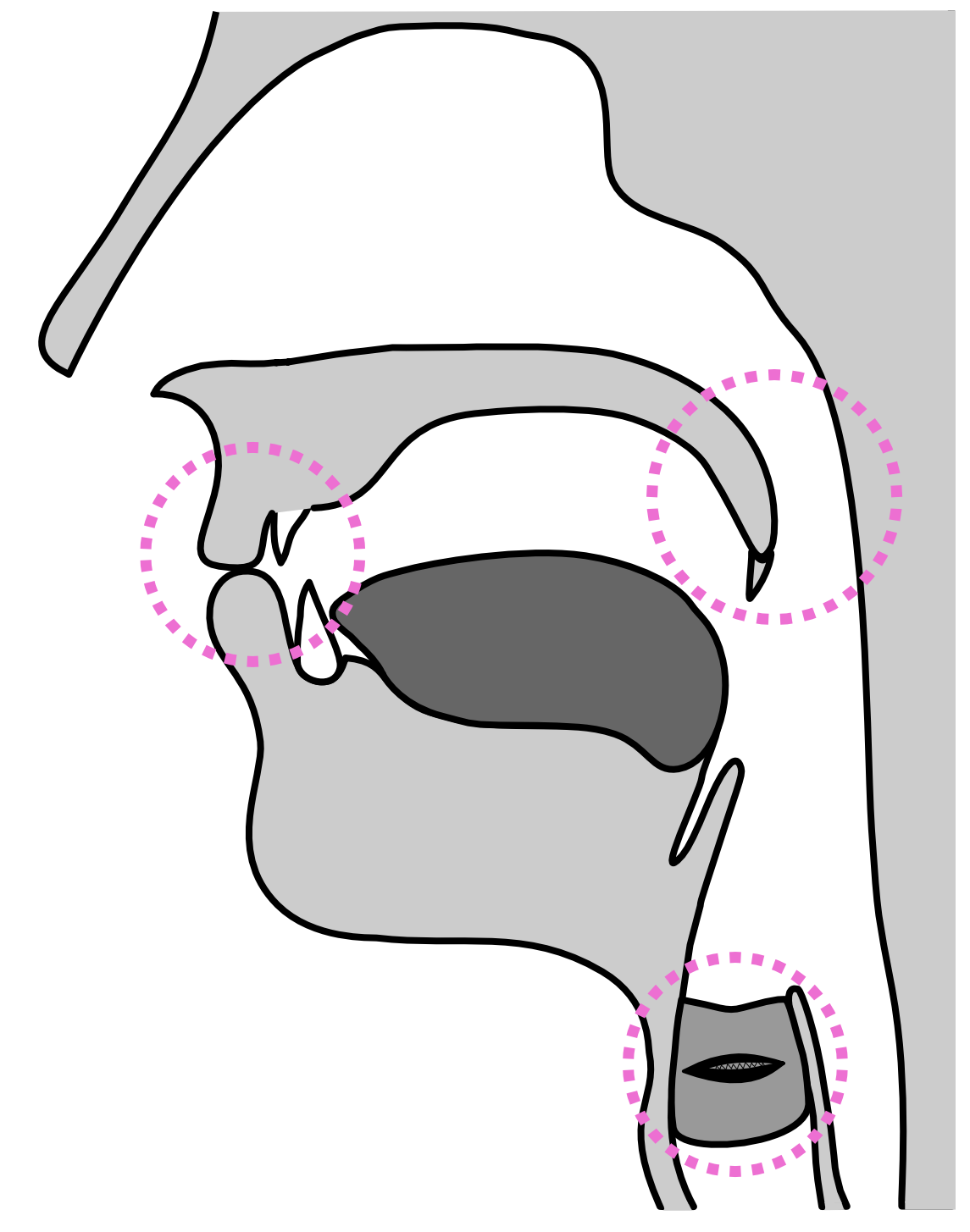 described in detail following the image