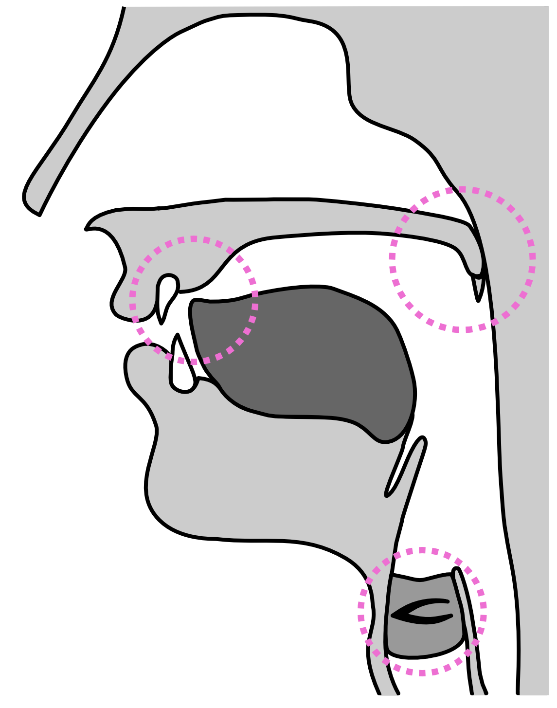 described in detail following the image