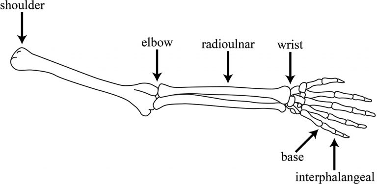 described in detail following the image