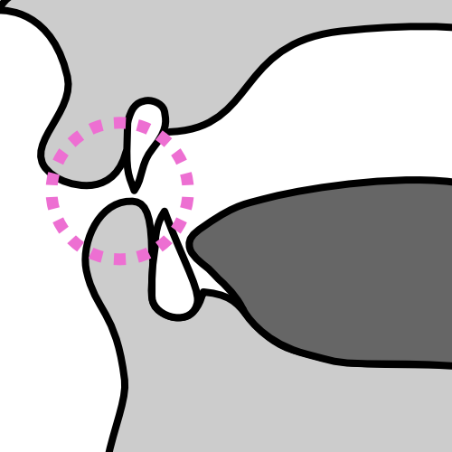 described in detail following the image