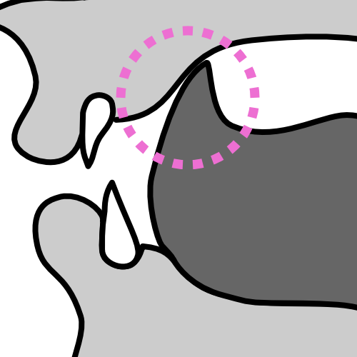 described in detail following the image
