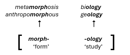 described in detail following the image